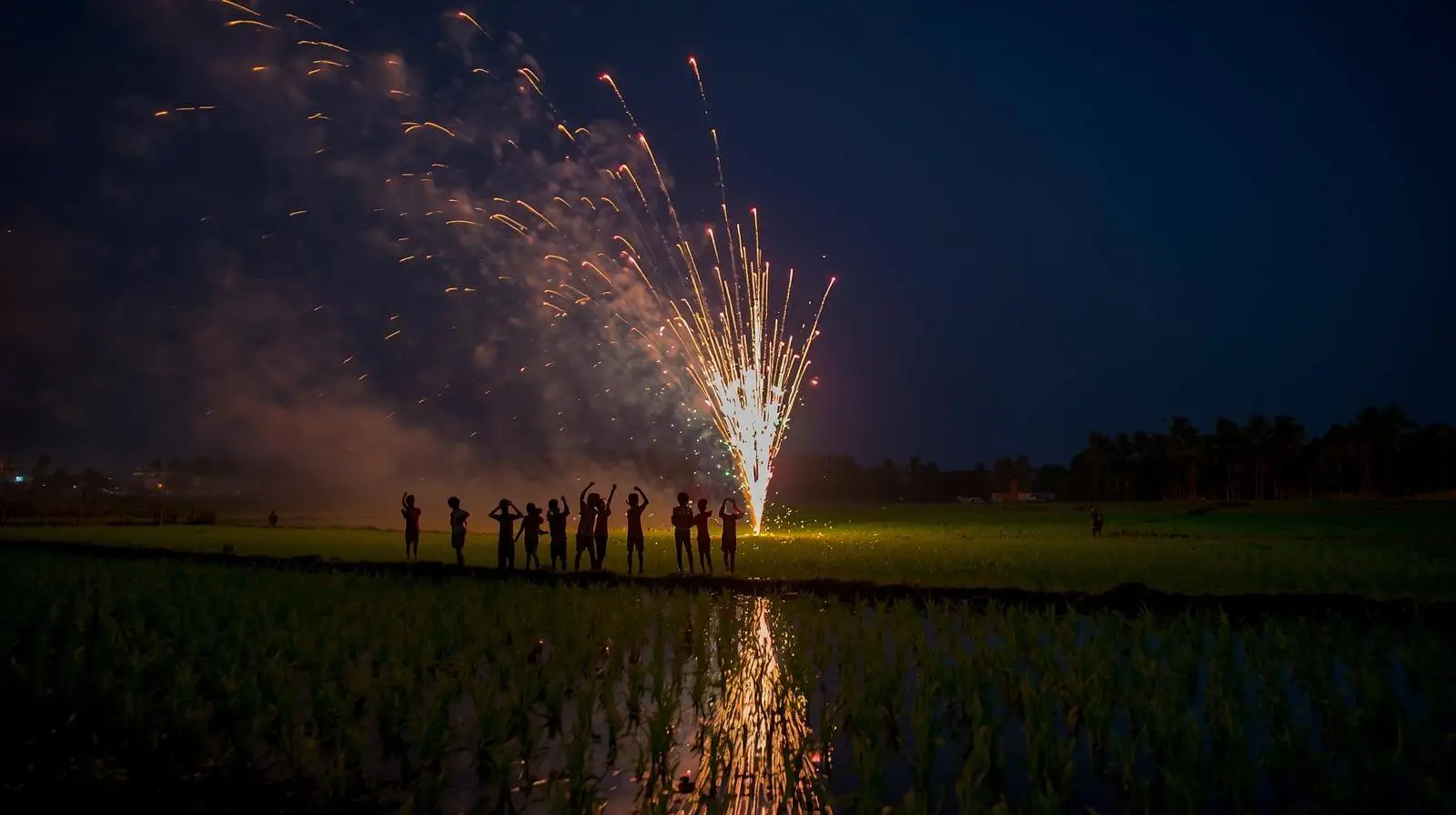 Coorg Festival Season